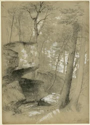 Study Rocks and Trees in Ice Glen, Stockbridge, Massachusetts